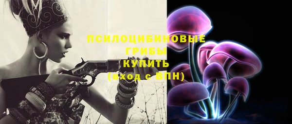 мдма Заводоуковск