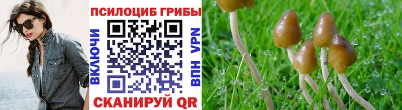 Псилоцибиновые грибы прущие грибы  Купить  Нурлат 
